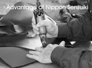 Advantage Nippon Sensuiki